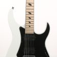 Caparison Dellinger-JSM Joel Stroetzel Signature White Sale