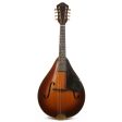 Martin 2-15 Mandolin 1948 Supply