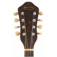 Martin 2-15 Mandolin 1948 Supply