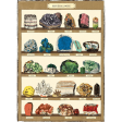 Minerals on shelf Framed Poster Online now