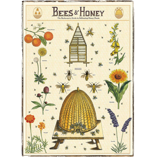 Bees & Honey Beekeepers Guide Framed Poster Online Sale