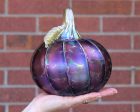 Amethyst Pumpkins + Gourds Discount