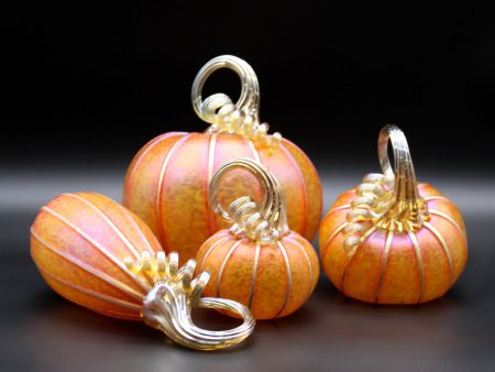 Sunrise Orange Pumpkins + Gourds Sale