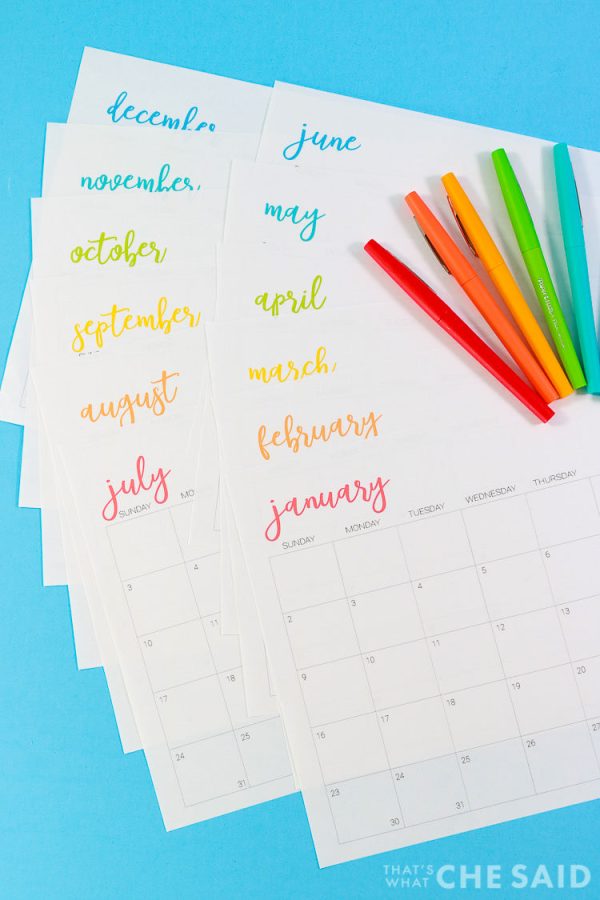 Printable Calendar and Organization Bundle Cheap