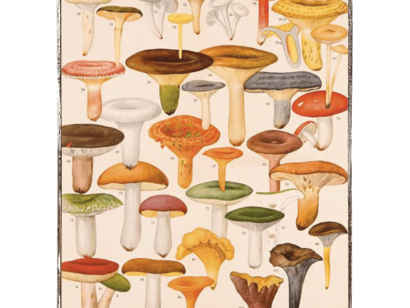 Mushrooms Les Champignons Framed Poster Cheap