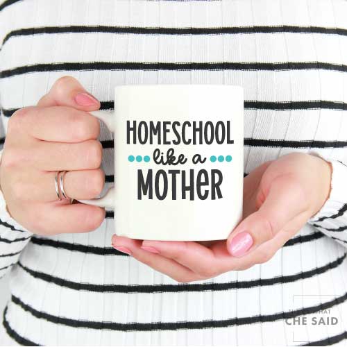 Homeschool Like a Mother Sale