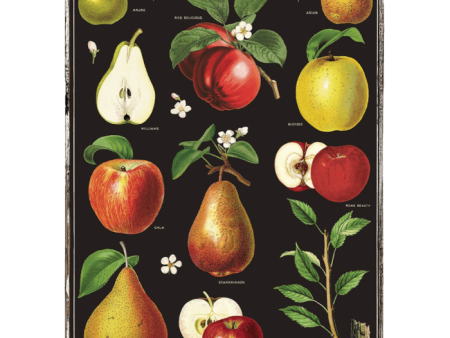 Apples and Pears Framed Poster For Sale