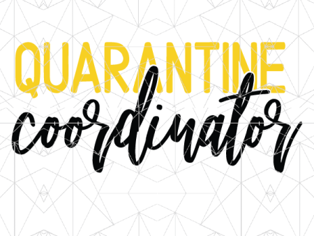 Quarantine Coordinator Hot on Sale