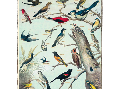 Audubon Birds Framed Poster For Discount