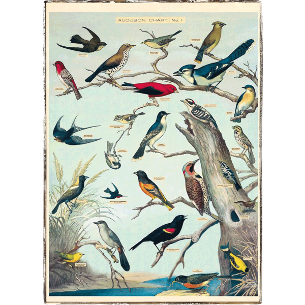 Audubon Birds Framed Poster For Discount