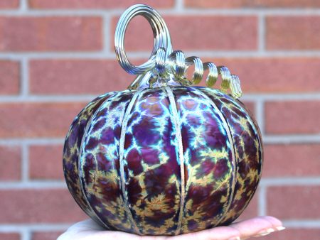 Midnight Pumpkins + Gourds Online