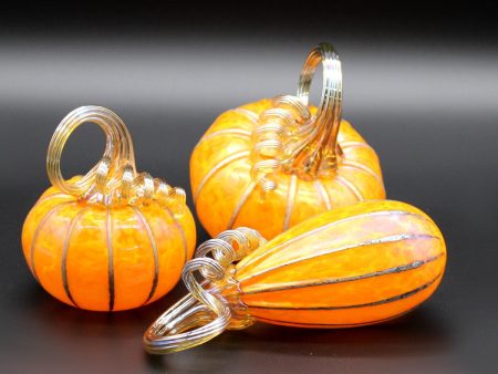 Sungold Yellow Pumpkins + Gourds Online Sale