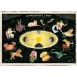 Astrological Chart (Signs of the Zodiac) Framed Poster For Sale