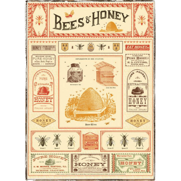 Bees & Honey Framed Poster Online Hot Sale