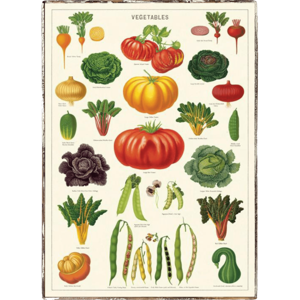 Vegetables Framed Poster For Sale