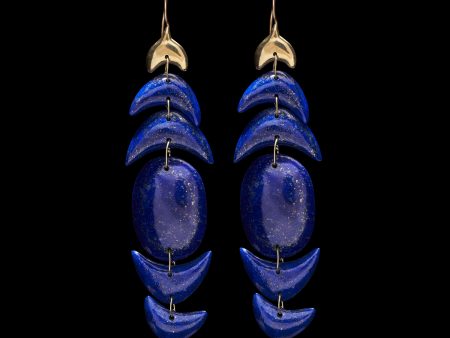 Double Peacock Earring Hot on Sale