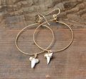 Shark Tooth Hoop Earrings Online