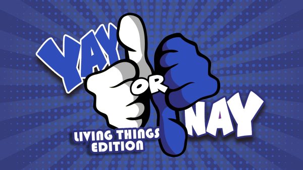 Yay or Nay: Living Things Edition Cheap