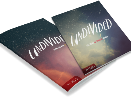 Undivided Book Bundle For Sale