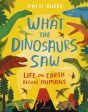 What the Dinosaurs Saw : Life on Earth Before Humans by Fatti Burke Fashion